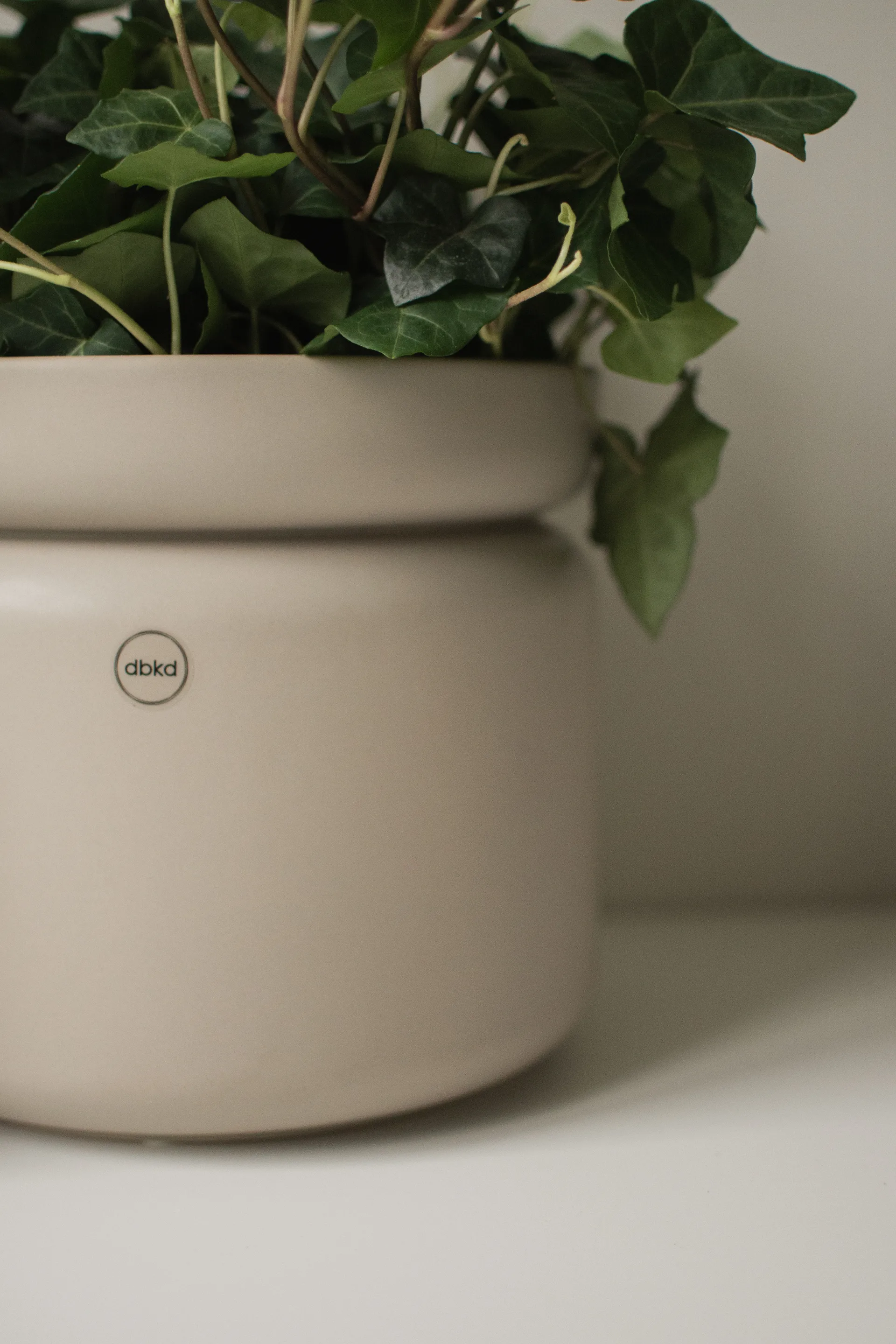 Vaso Neck, Talpa, Ø22,5x20 cm DBKD