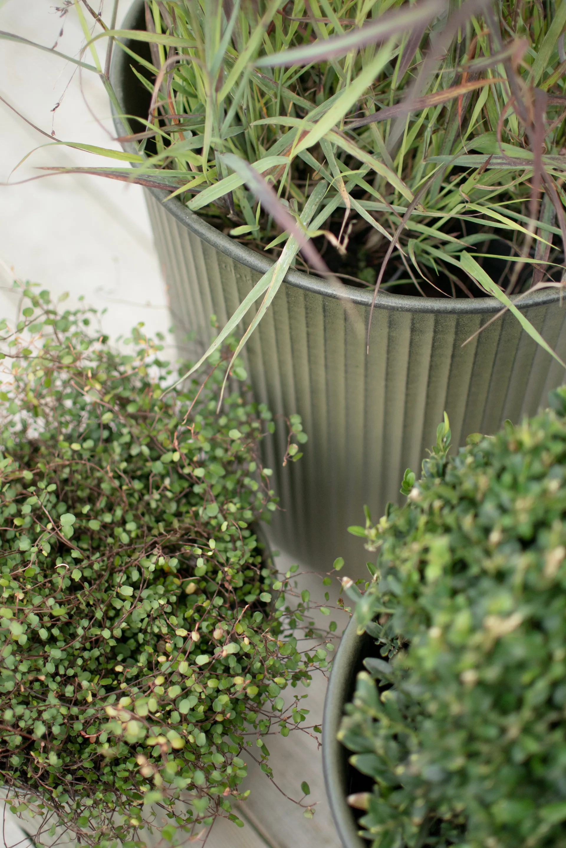 Vaso per fiori a righe Out 3 pezzi, Verde DBKD