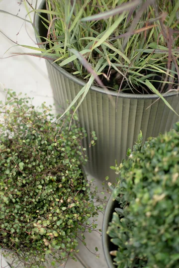 Vaso per fiori a righe Out 3 pezzi - Verde - DBKD