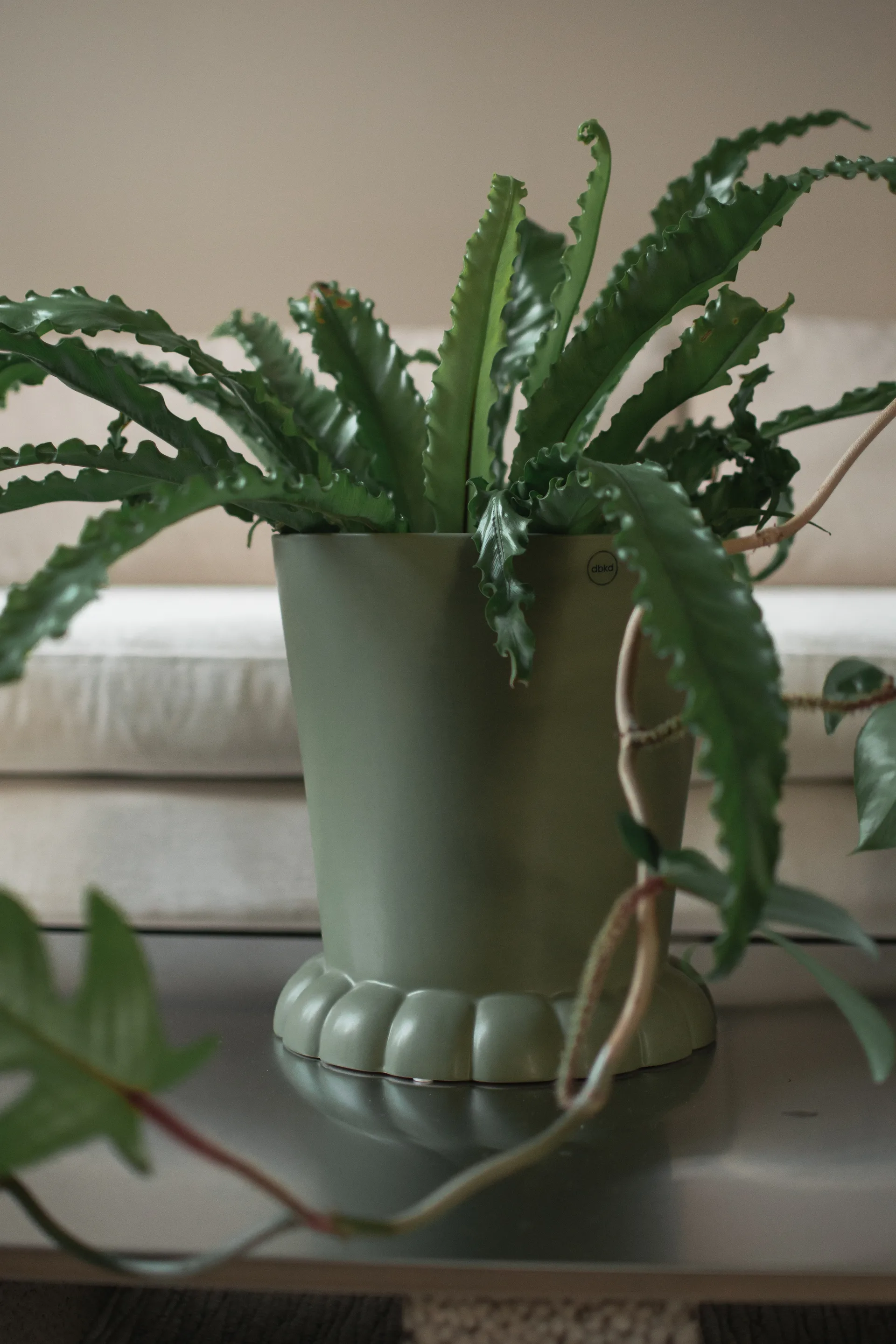 Vaso per fiori Flora Ø25 cm, Verde DBKD