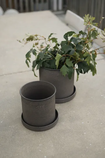 Vaso per piante piccolo confezione da 2 - Marrone - DBKD