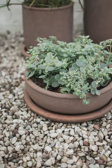 Vaso Terra bowl - Marrone, Ø30x10,5 cm - DBKD