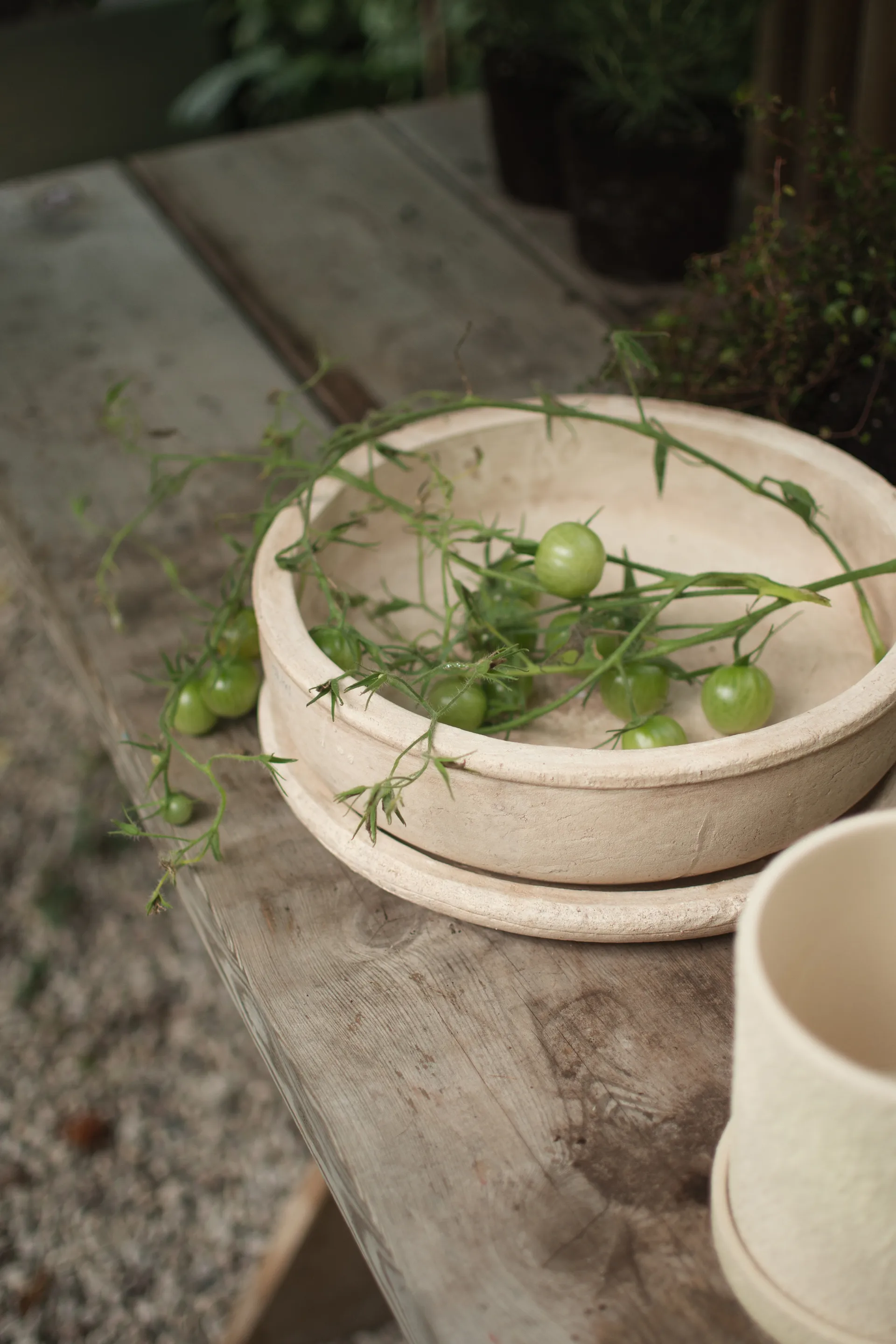 Vaso Terra bowl, Sand, Ø30x10,5 cm DBKD