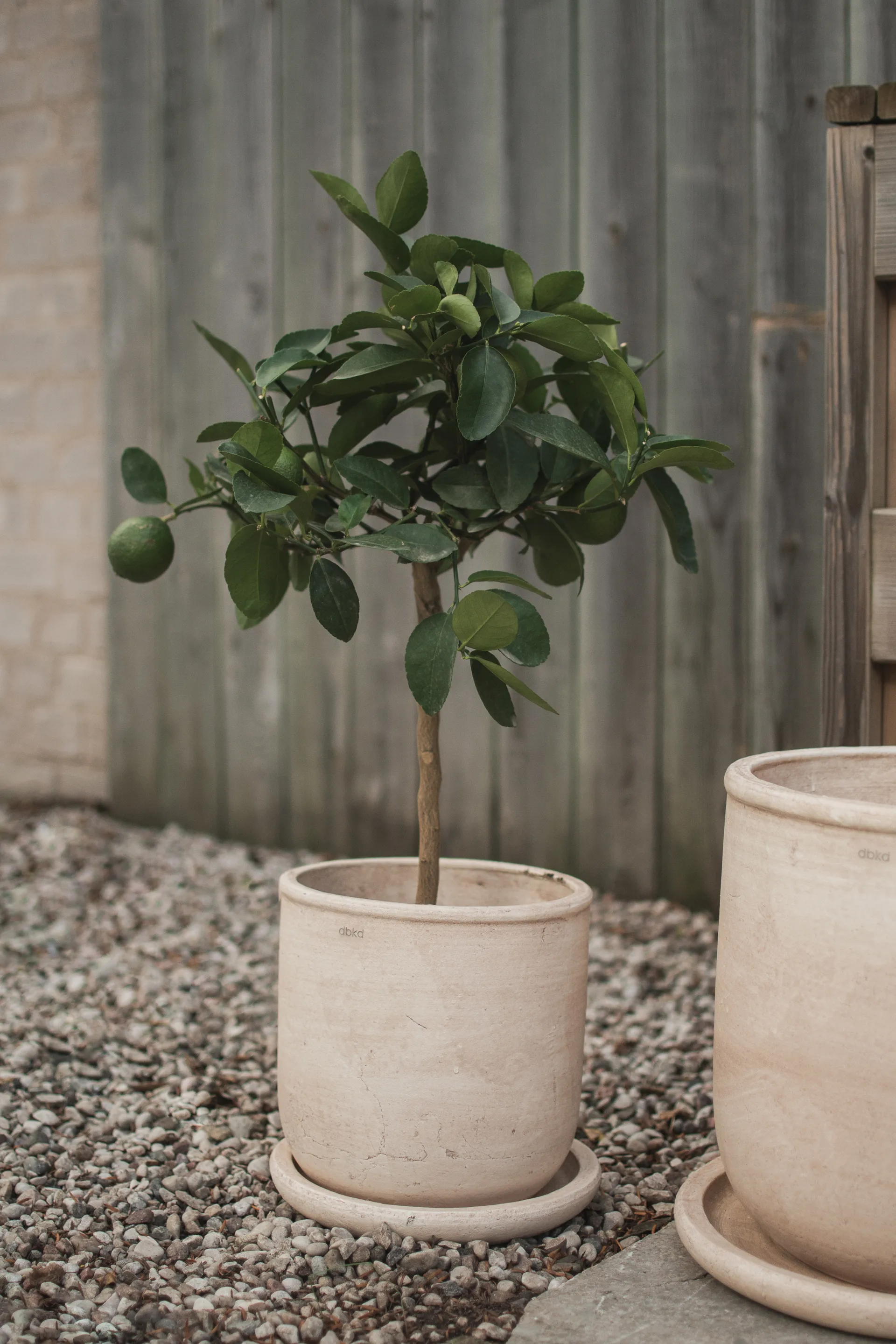 Vaso Terra, Sand, Ø23x26 cm DBKD