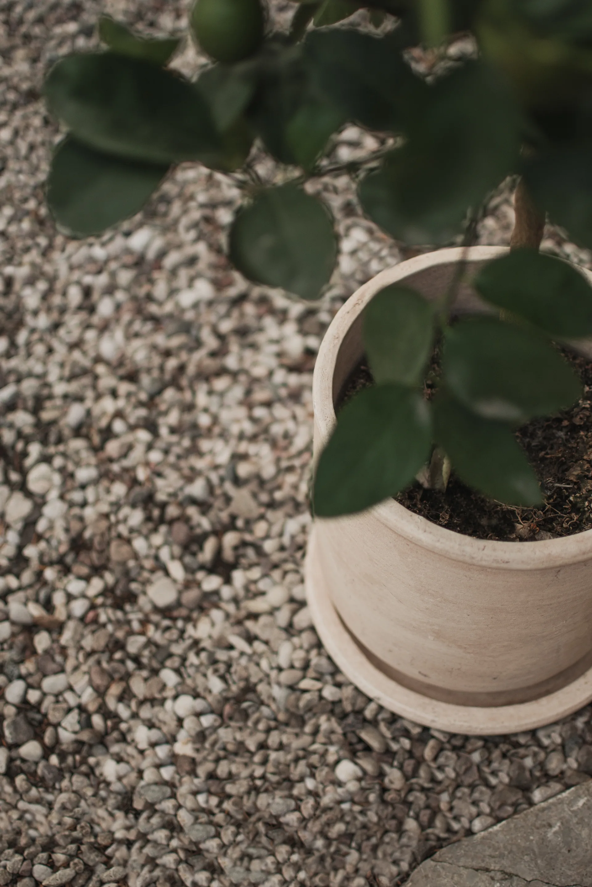 Vaso Terra, Sand, Ø23x26 cm DBKD