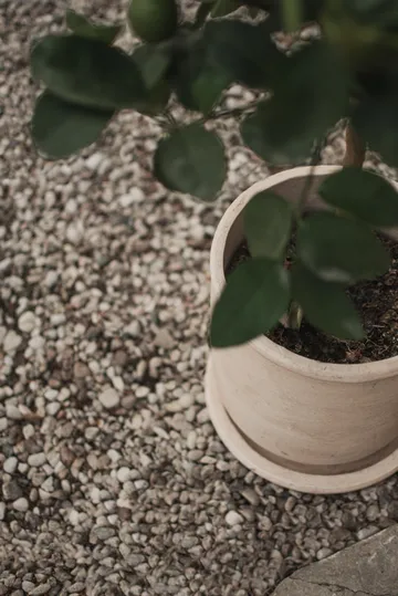 Vaso Terra - Sand, Ø23x26 cm - DBKD