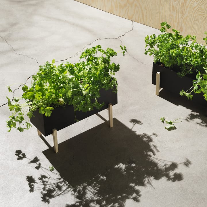 Contenitore erbe aromatiche Botanic - nero-scatola - Design House Stockholm