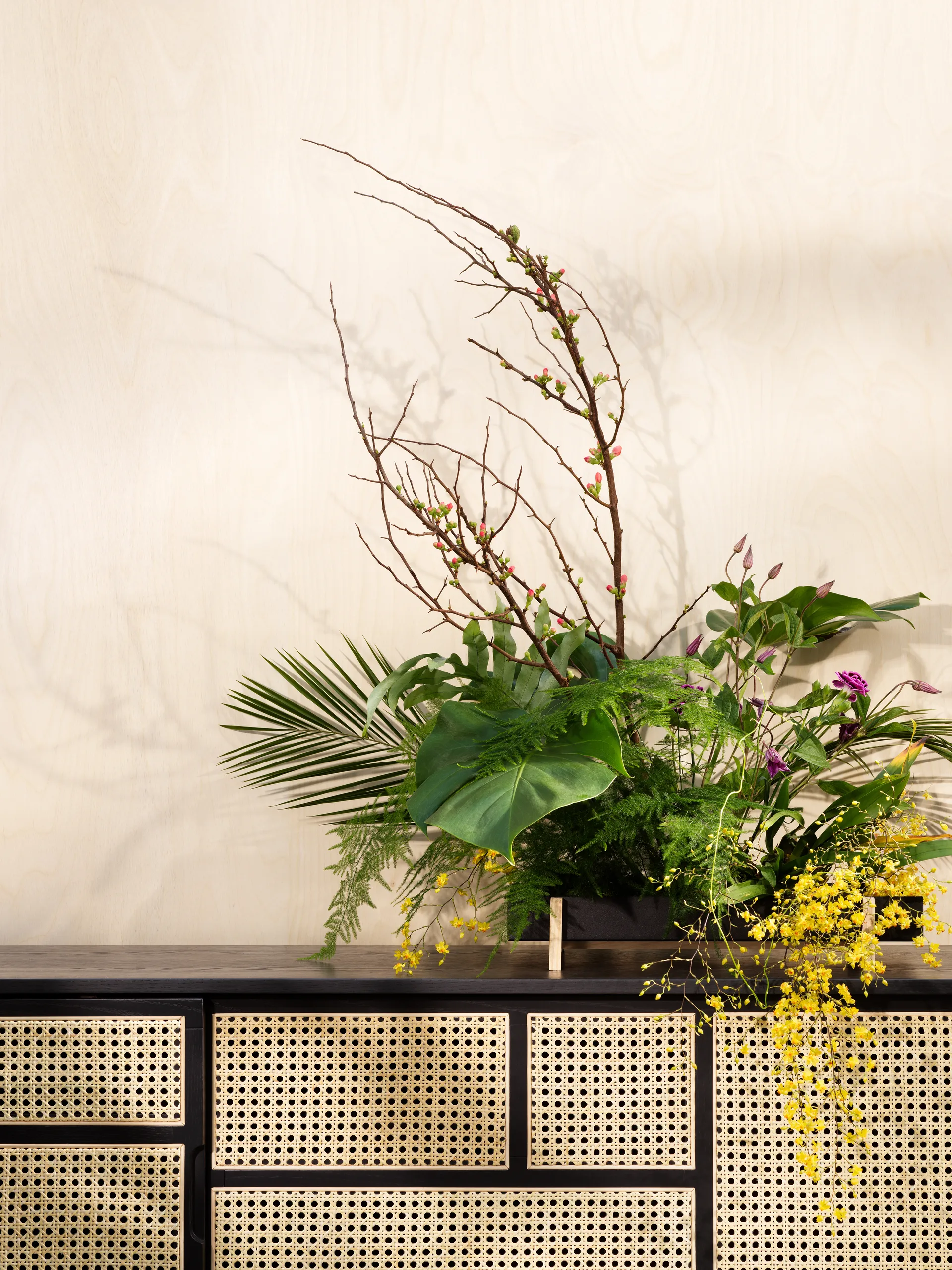 Credenza Air, bassa, nero, legno di rattan Design House Stockholm