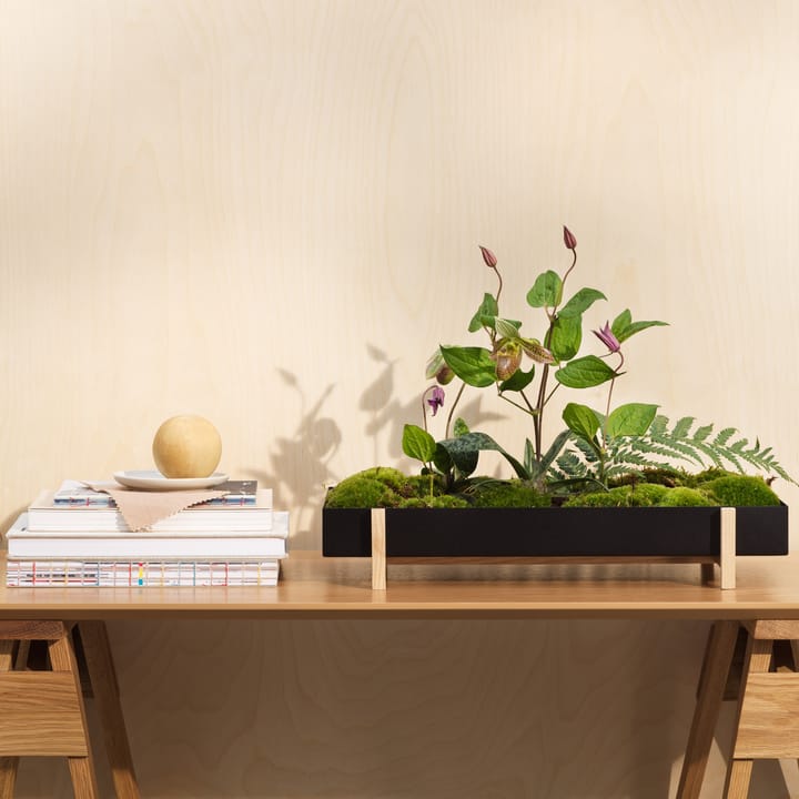 Fioriera con vassoio per fiori Botanic, nero Design House Stockholm