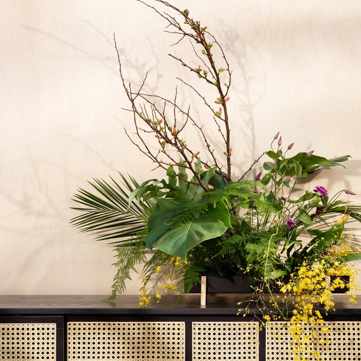 Fioriera con vassoio per fiori Botanic, nero Design House Stockholm