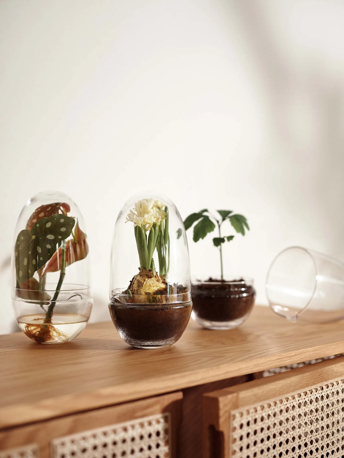 Serra Grow, Medio Design House Stockholm