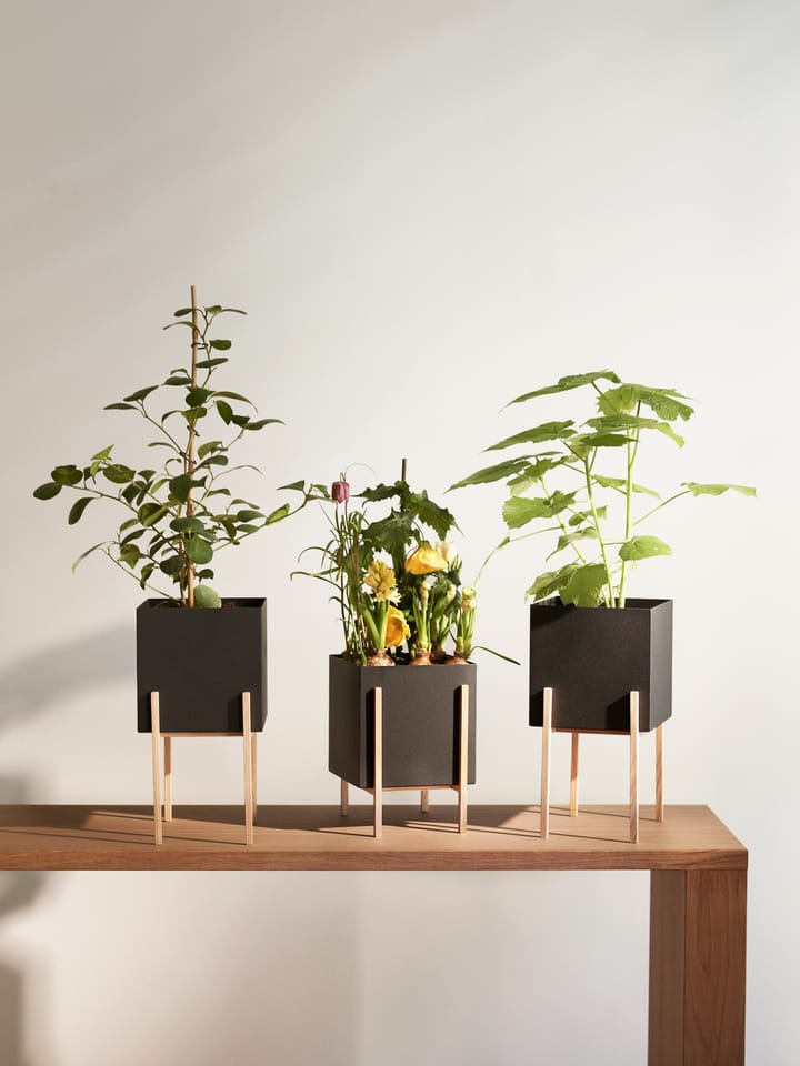 Vaso da fiori con piedistallo Botanic da Design House Stockholm →