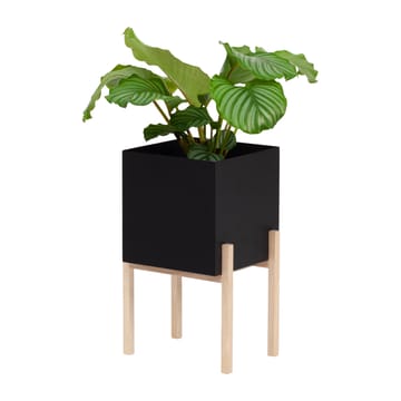 Vaso da fiori con piedistallo Botanic  - Nero-scatola - Design House Stockholm