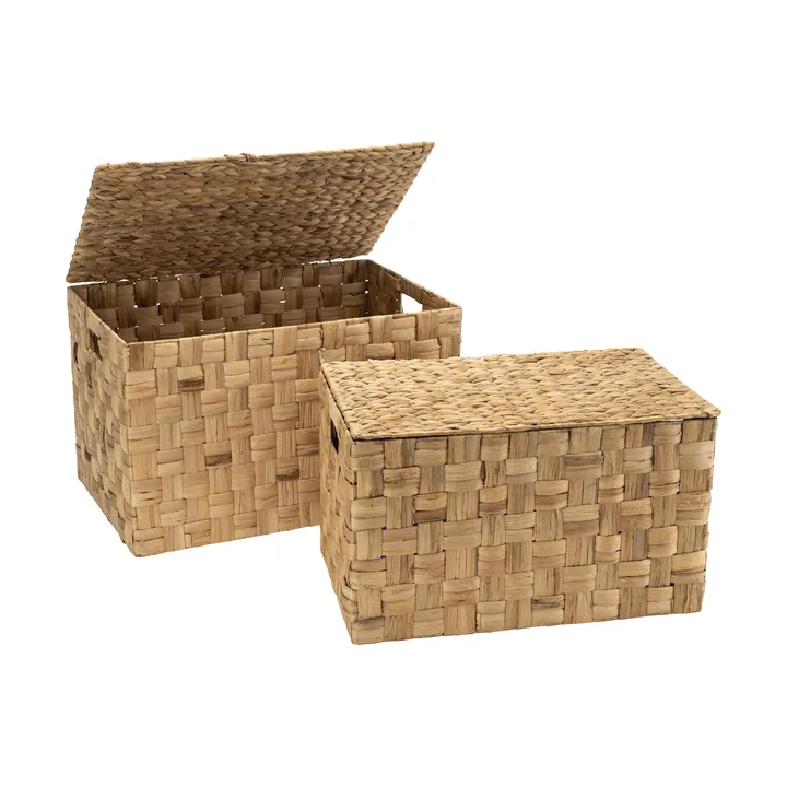 Lily contenitori con coperchio, 2 pezzi - Giacinto d'acqua - Dixie