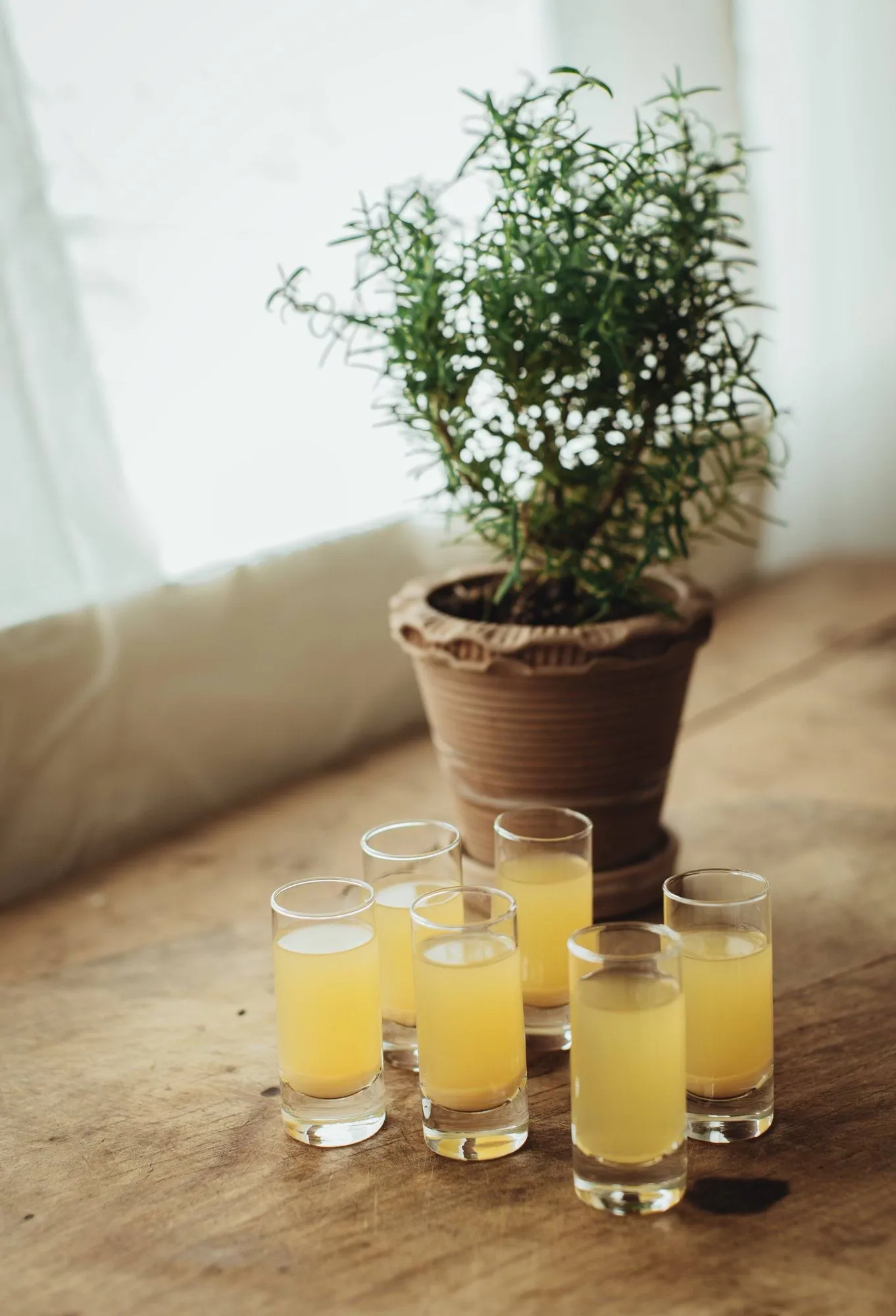 Bicchierino da schnapps Saba, Dritto, 6 pezzi, 6 cl Dorre