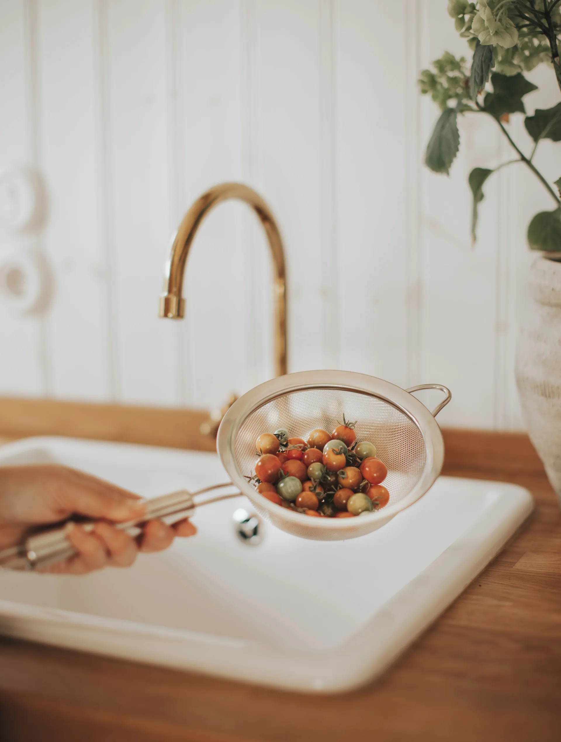 Colino Pia Ø 16 cm, Acciaio inox Dorre