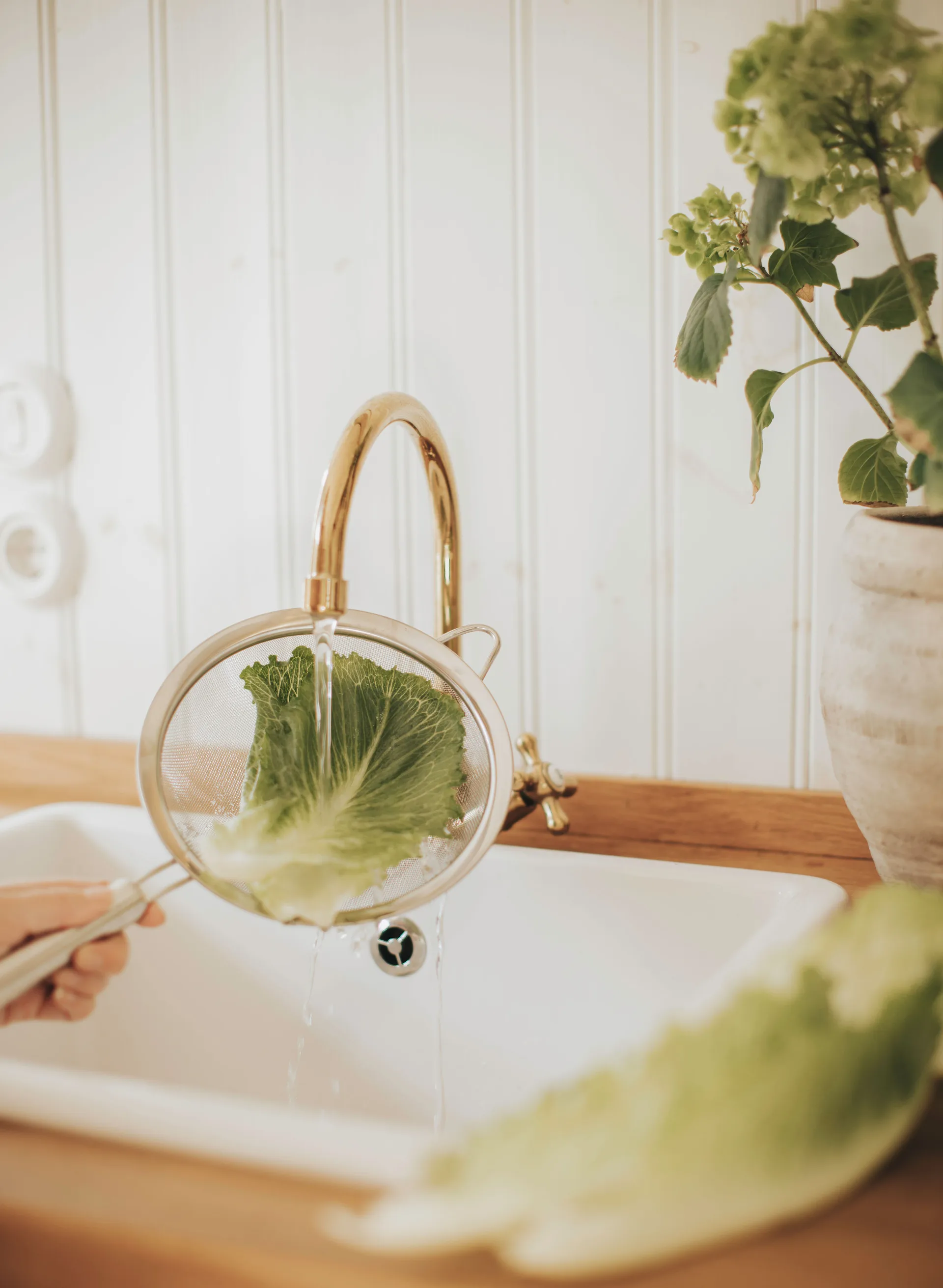 Colino Pia Ø 20 cm, Acciaio inox Dorre