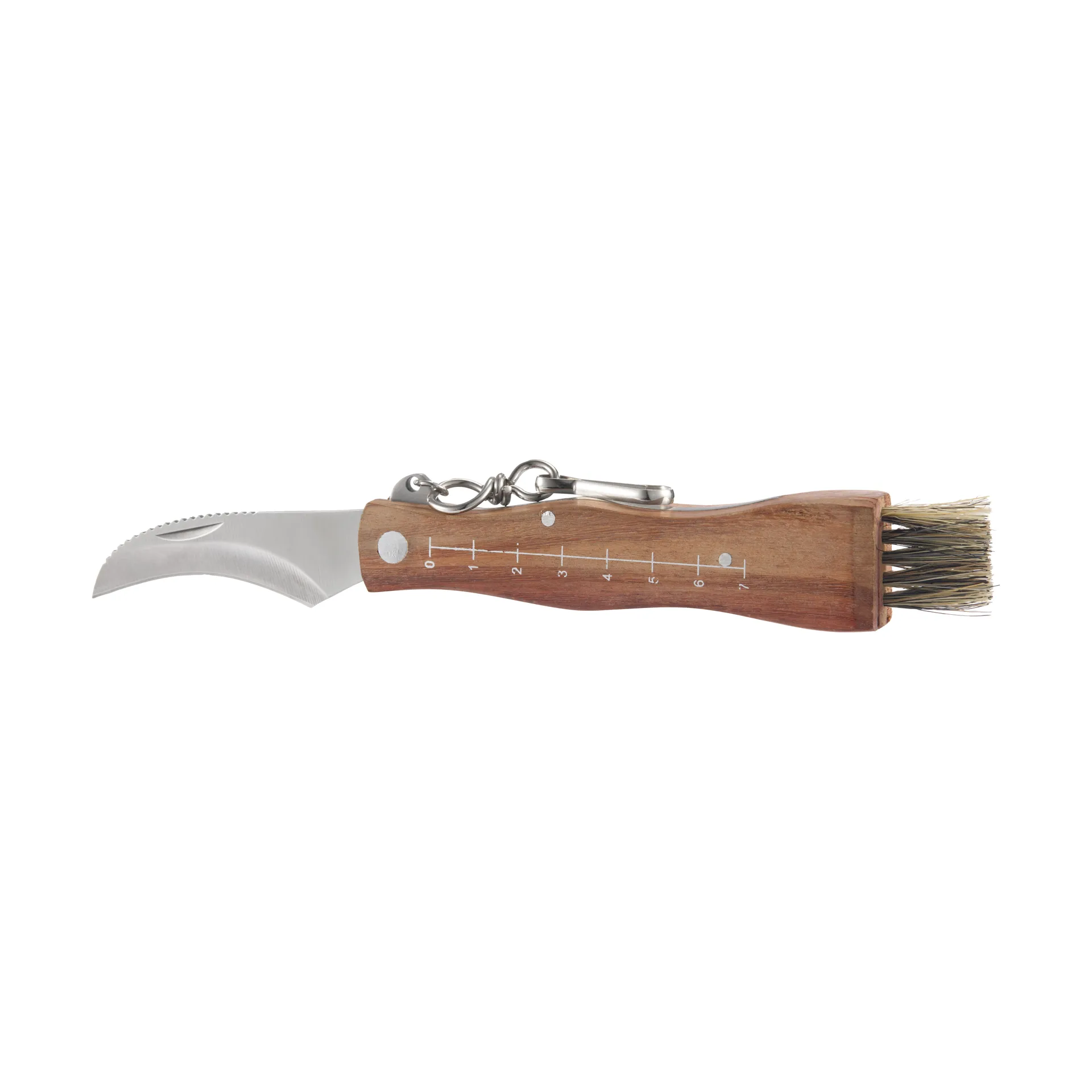 Coltello per funghi con manico in legno marrone e spazzola 13×2 cm Stuti, Acciaio inossidabile Dorre