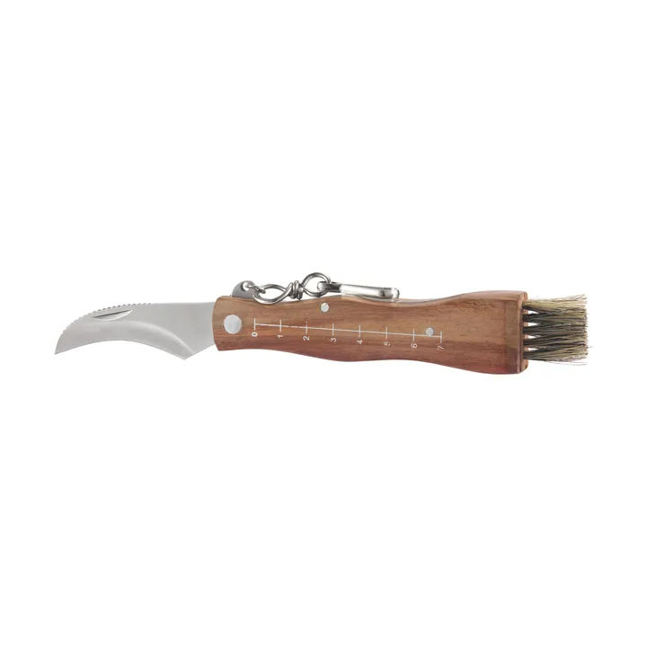 Coltello per funghi con manico in legno marrone e spazzola 13×2 cm Stuti - Acciaio inossidabile - Dorre