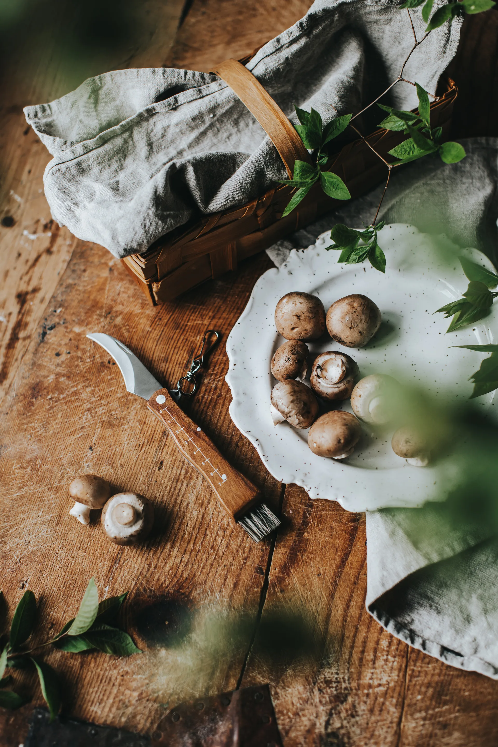 Coltello per funghi con manico in legno marrone e spazzola 13×2 cm Stuti, Acciaio inossidabile Dorre