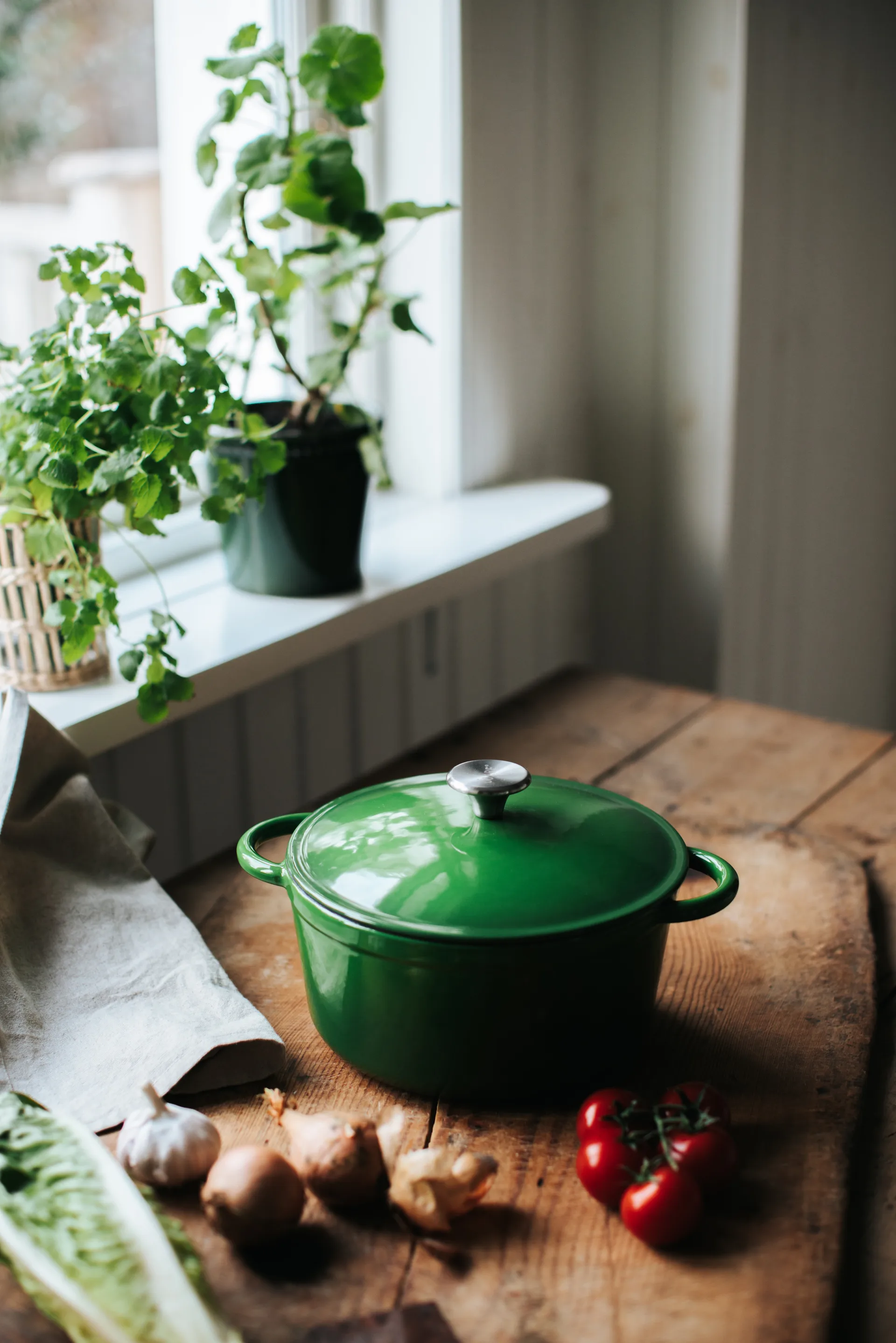 Pentola in ghisa rotonda con pomolo in acciaio inox 4 L Gretl, Verde Dorre