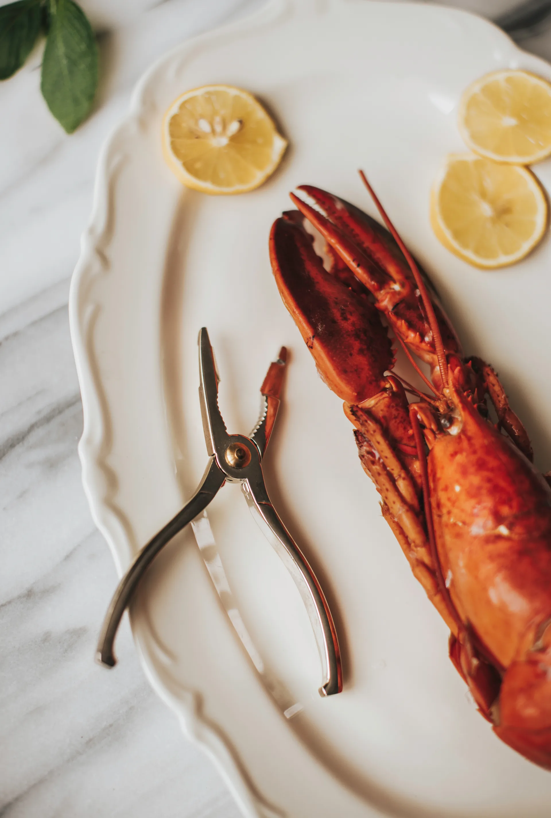 Pinza per astici Skai 15 cm, Argento Dorre