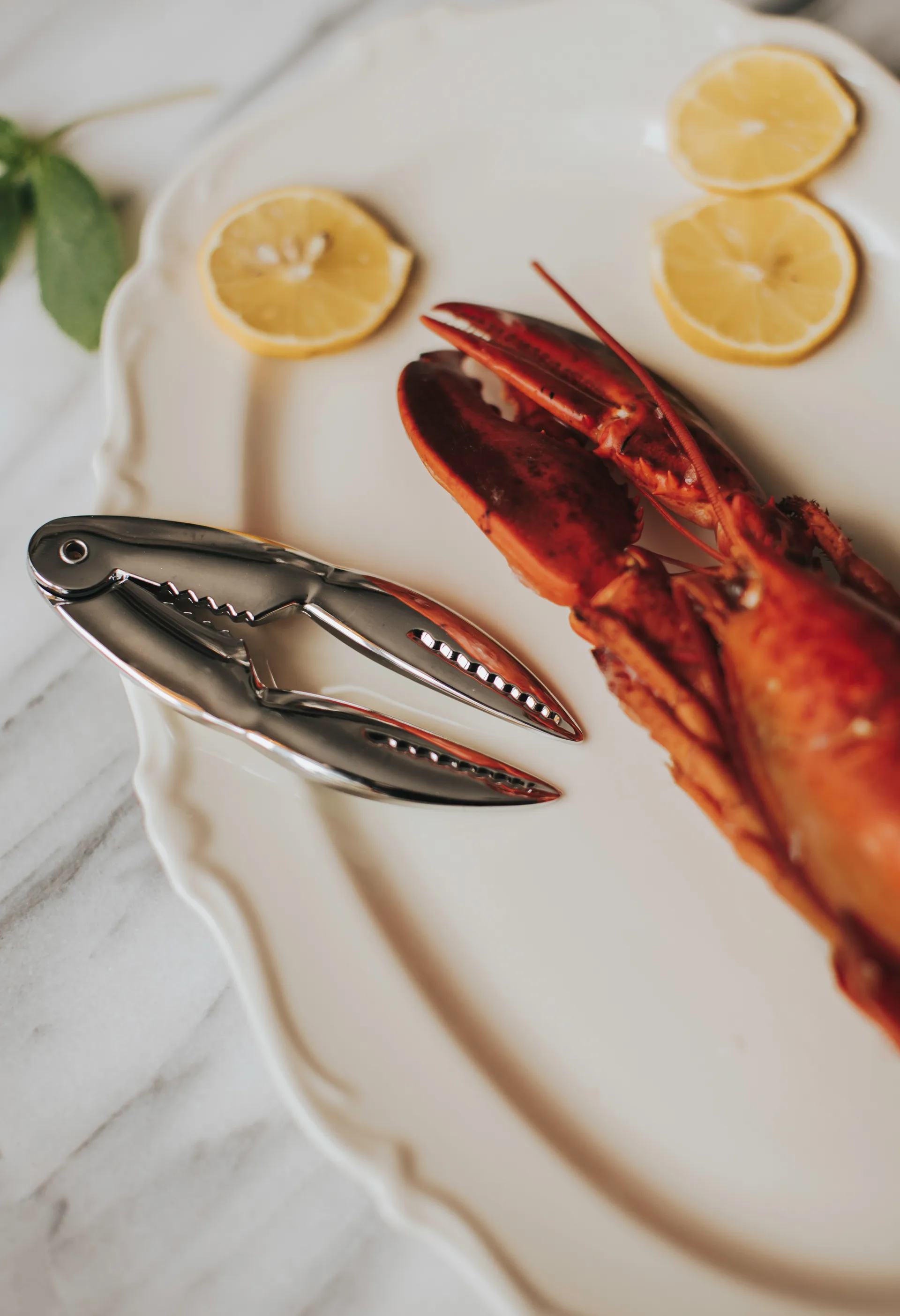 Pinza per frutti di mare Skai 13,5 cm, Argento Dorre