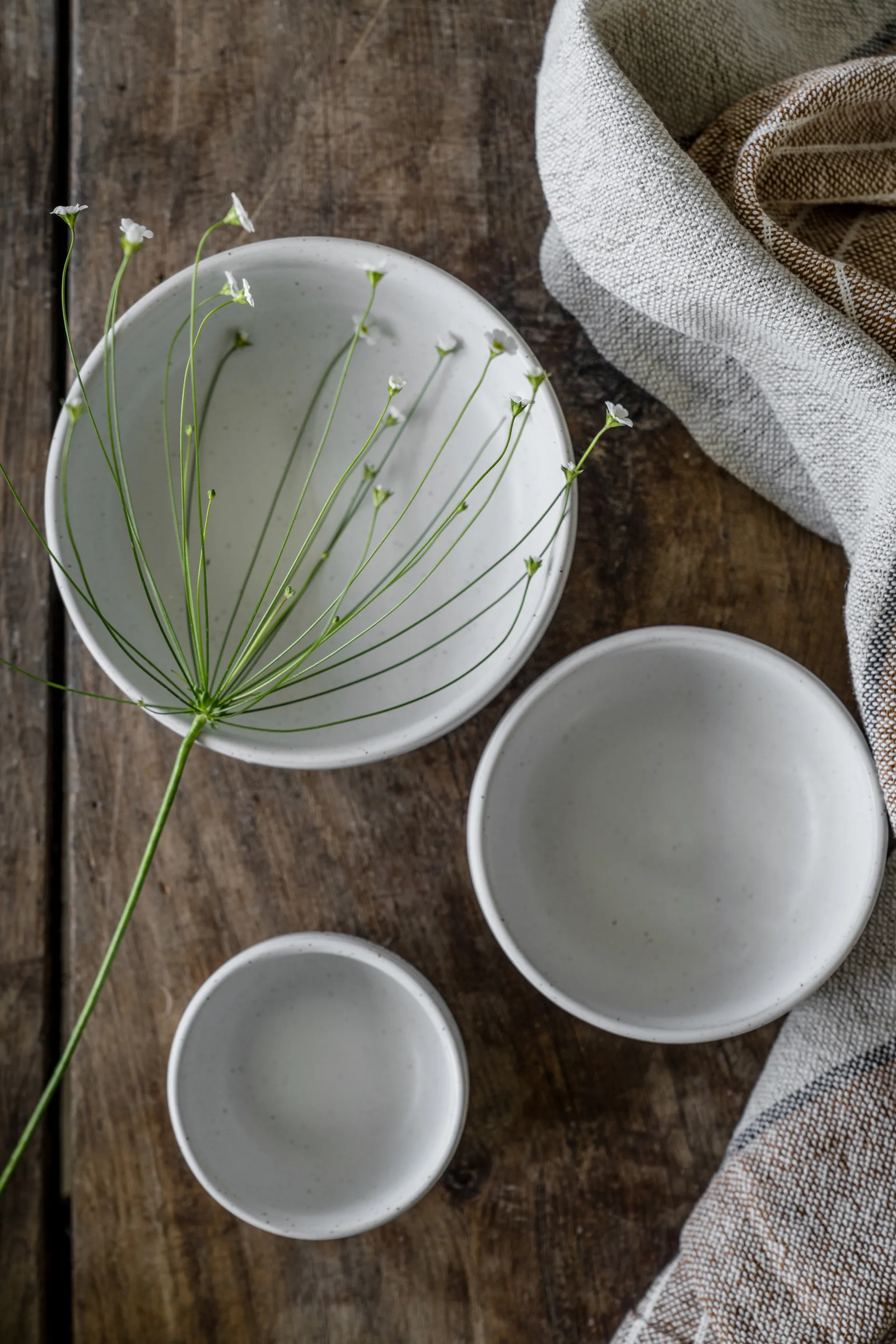 Ciotola Ernst , Fondo bianco-naturale, Ø8 cm ERNST
