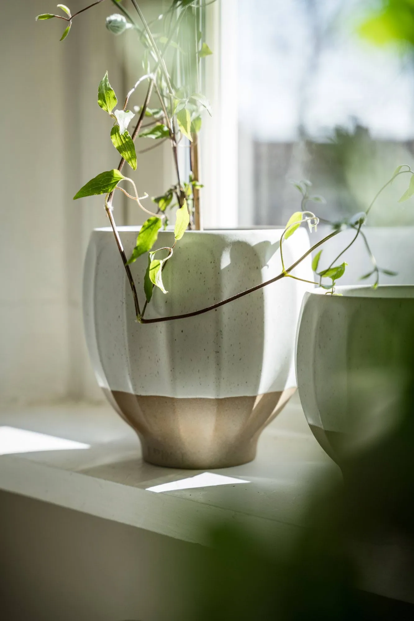 Ernst vaso, Bianco-naturale, Ø18x18 cm ERNST