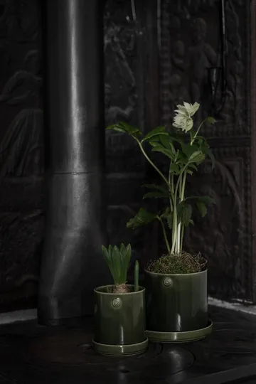 Ernst vaso con sottovaso - Verde, Ø13x13 cm - ERNST