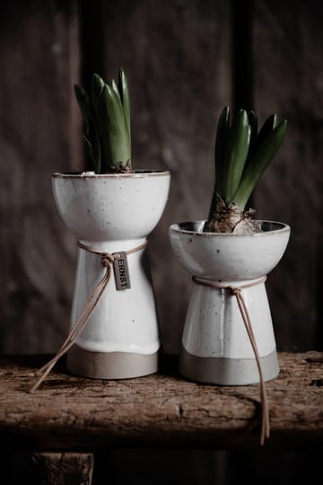 Vasetto per cipolle Ernst, bianco - 11 cm - ERNST