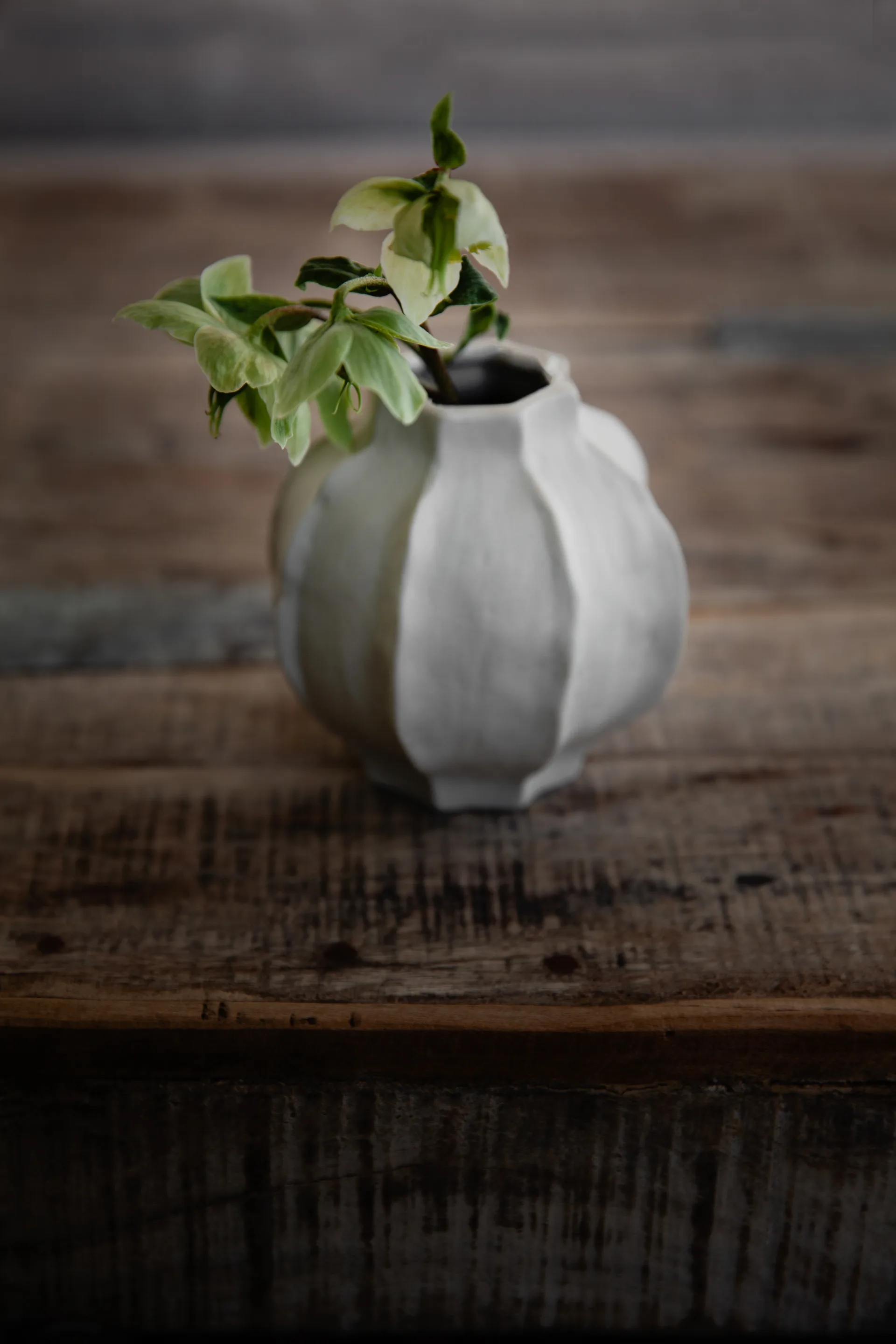 Vaso con bordo ondulato Ernst, 10 cm ERNST