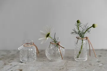 Vaso decorato Ernst confezione regalo 3 pezzi - Trasparente - ERNST