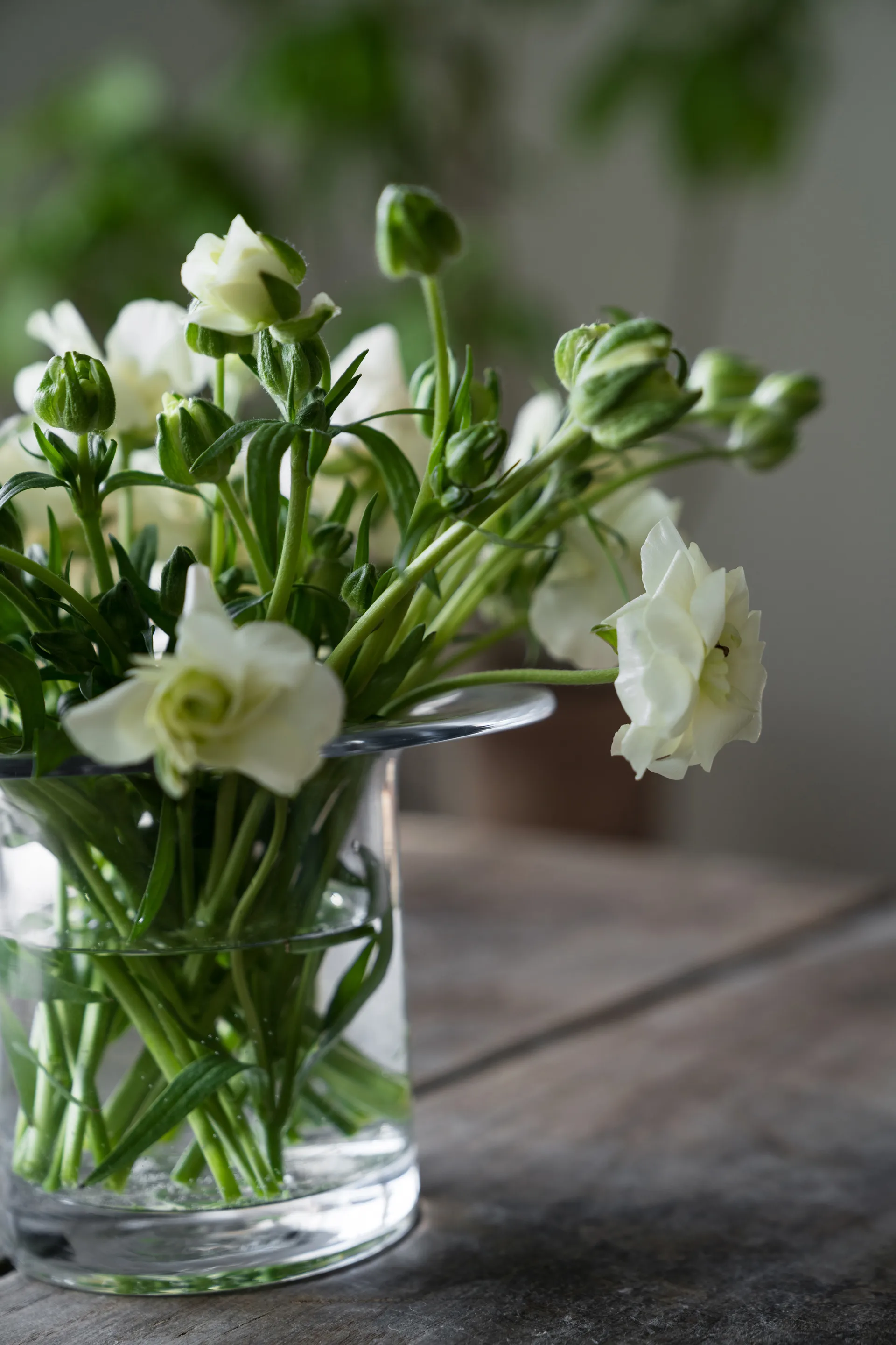 Vaso di vetro Ernst Ø17 cm, A 13 cm ERNST