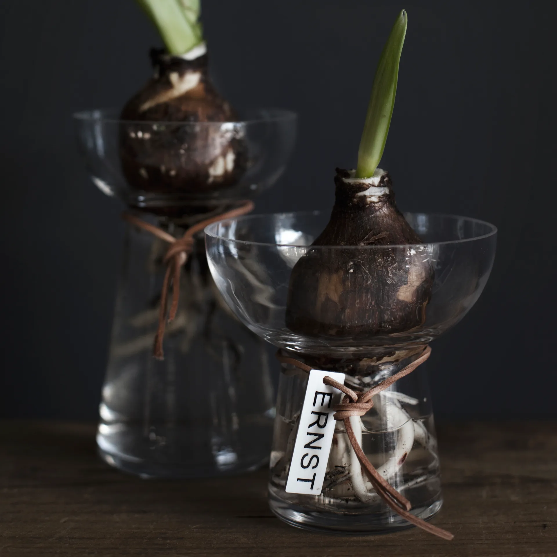 Vaso Ernst Hyacinth 11 cm, Trasparente ERNST