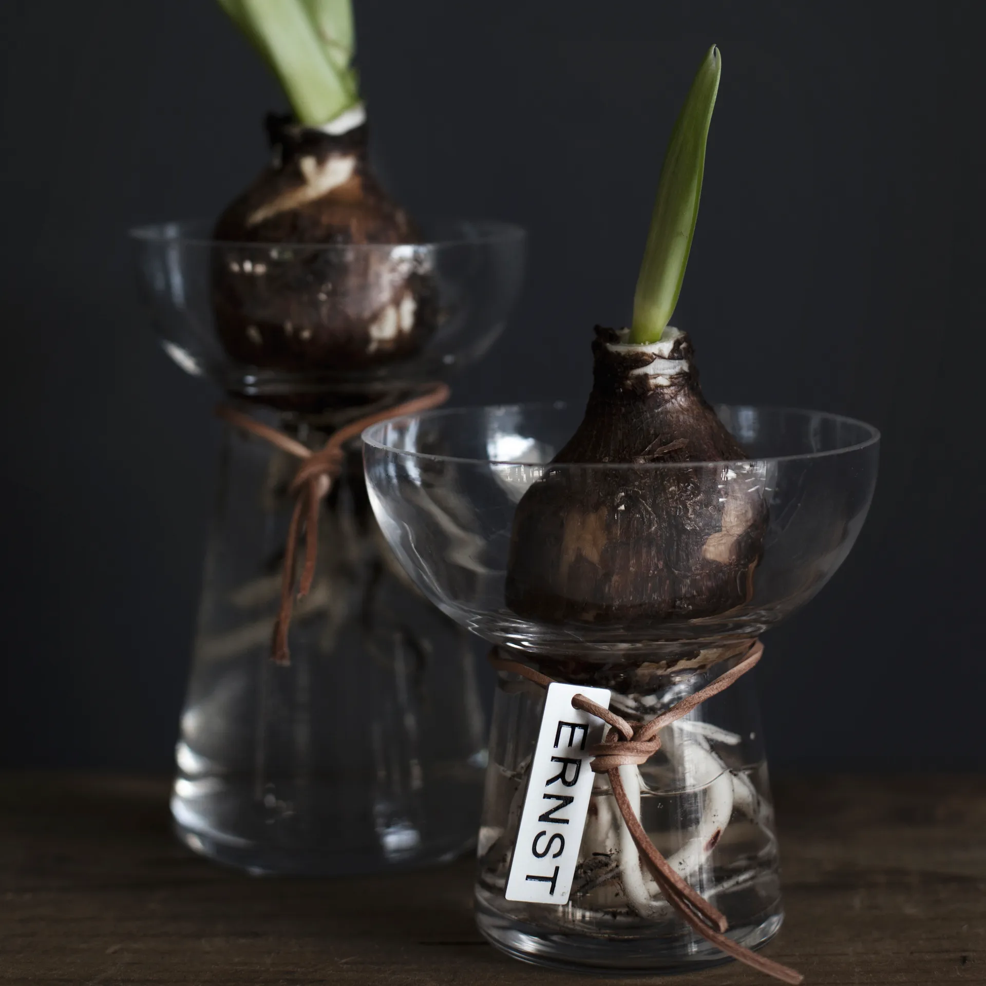 Vaso Ernst Hyacinth 15 cm, Trasparente ERNST