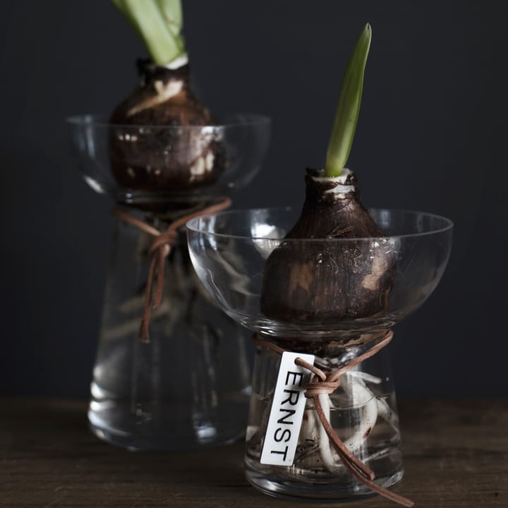 Vaso Ernst Hyacinth 15 cm, Trasparente ERNST