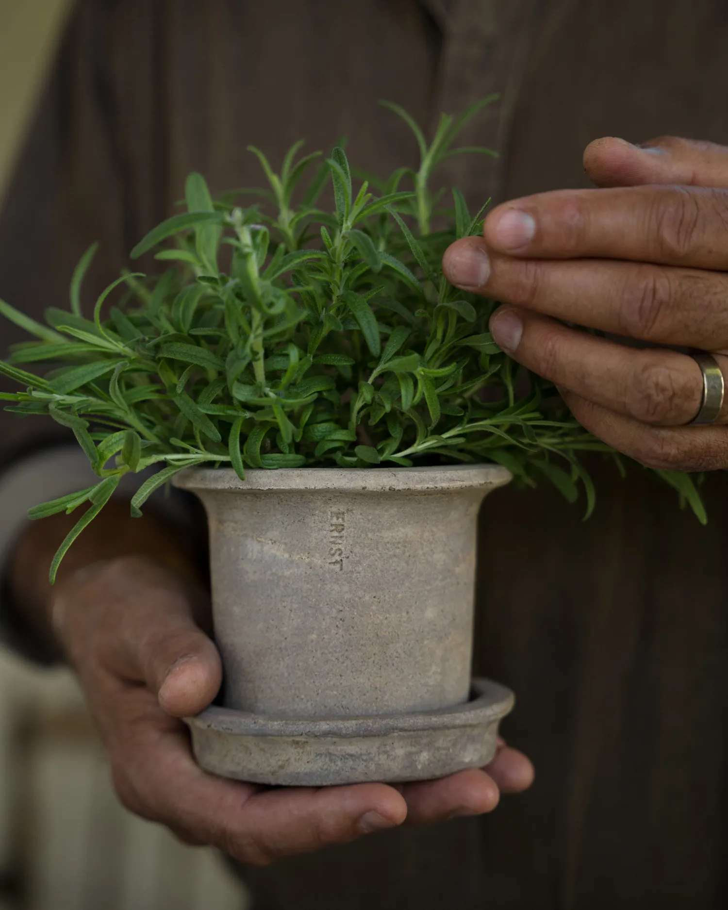 Vaso in terracotta Ernst con sottovaso, Ø12x10 cm ERNST