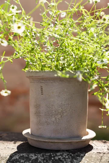 Vaso in terracotta Ernst con sottovaso - Ø16x16 cm - ERNST