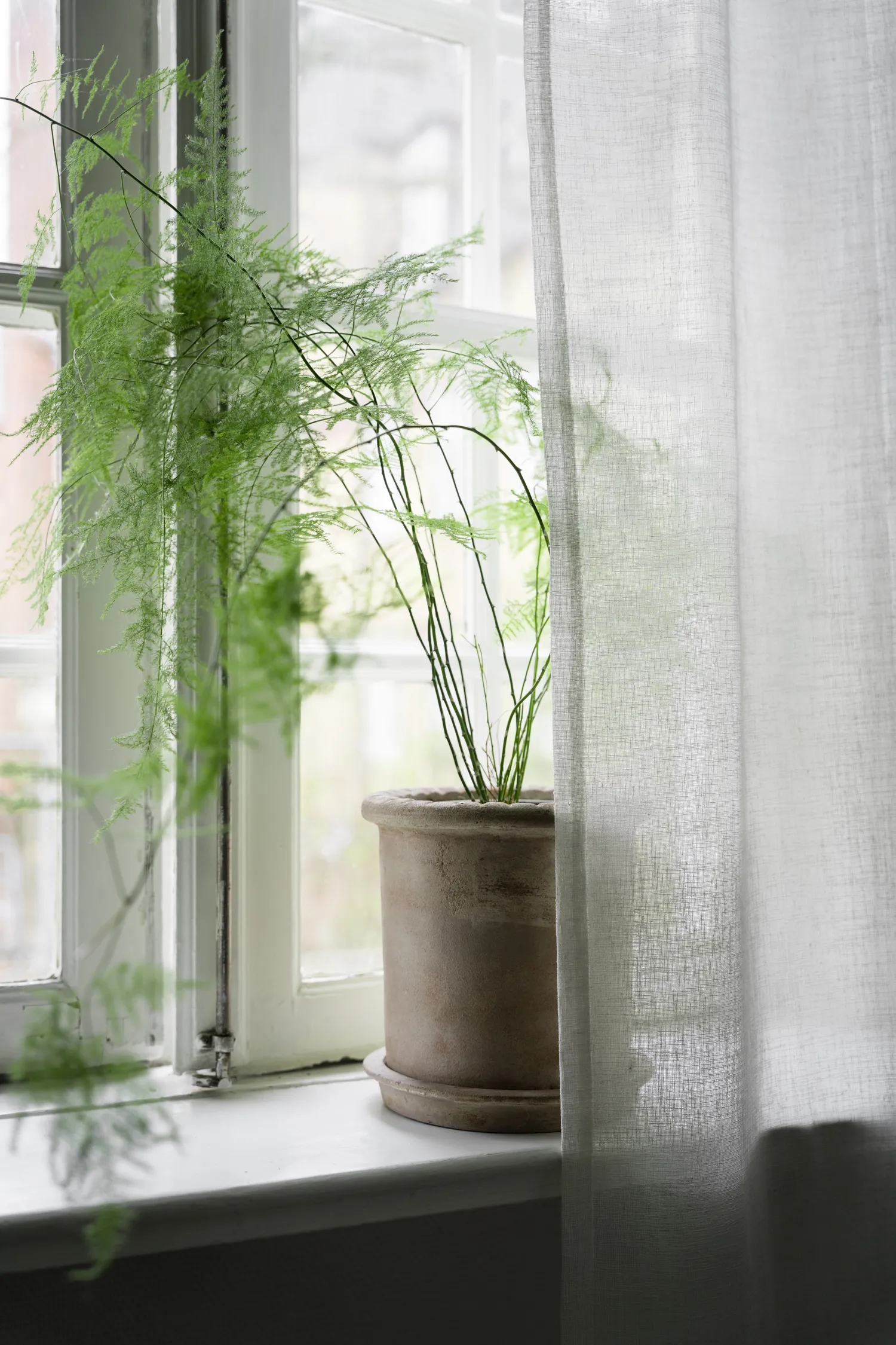 Vaso in terracotta Ernst con sottovaso, Ø25x28 cm ERNST
