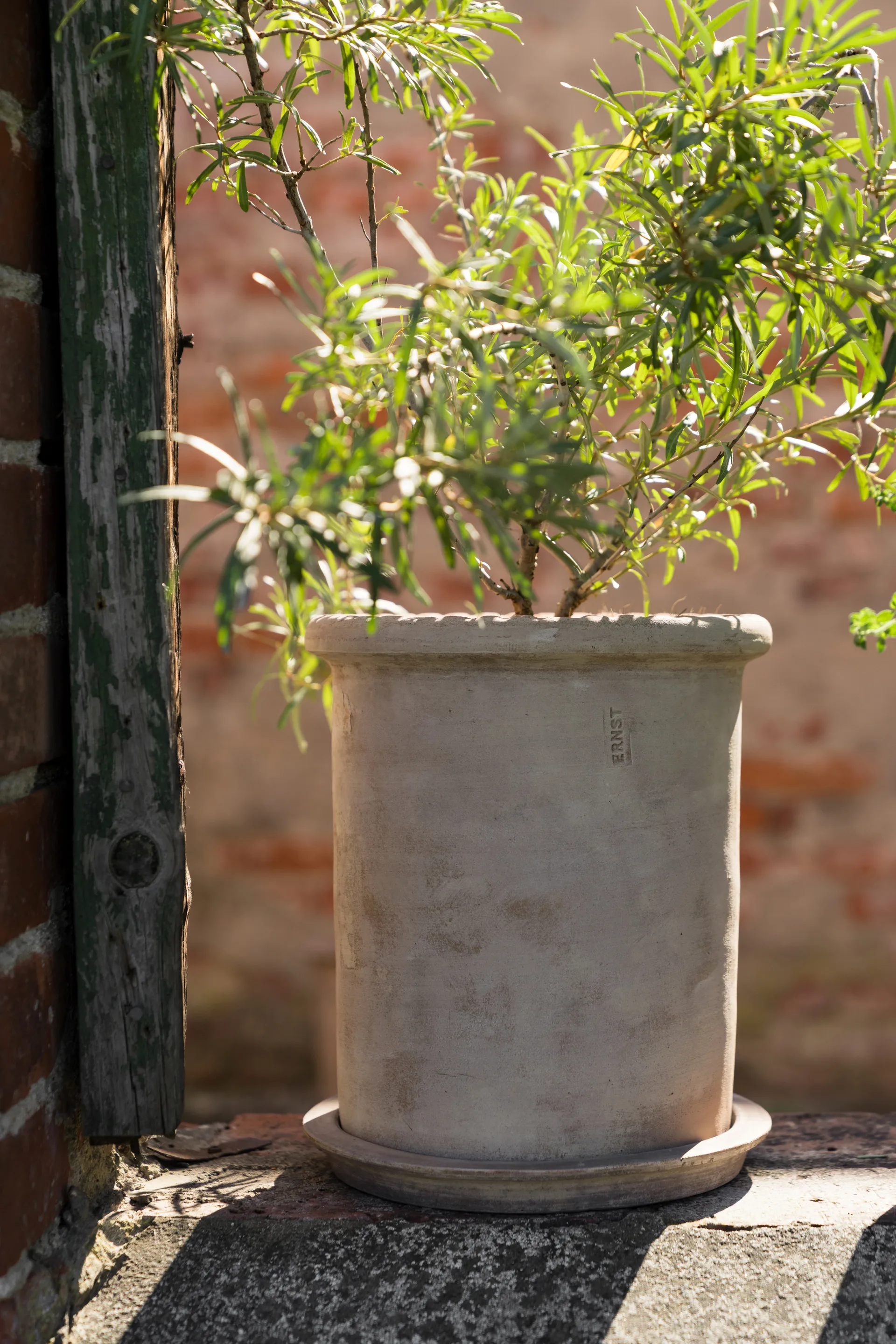 Vaso in terracotta Ernst con sottovaso, Ø25x28 cm ERNST