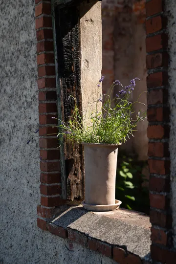 Vaso in terracotta Ernst con sottovaso - Ø25x35 cm - ERNST
