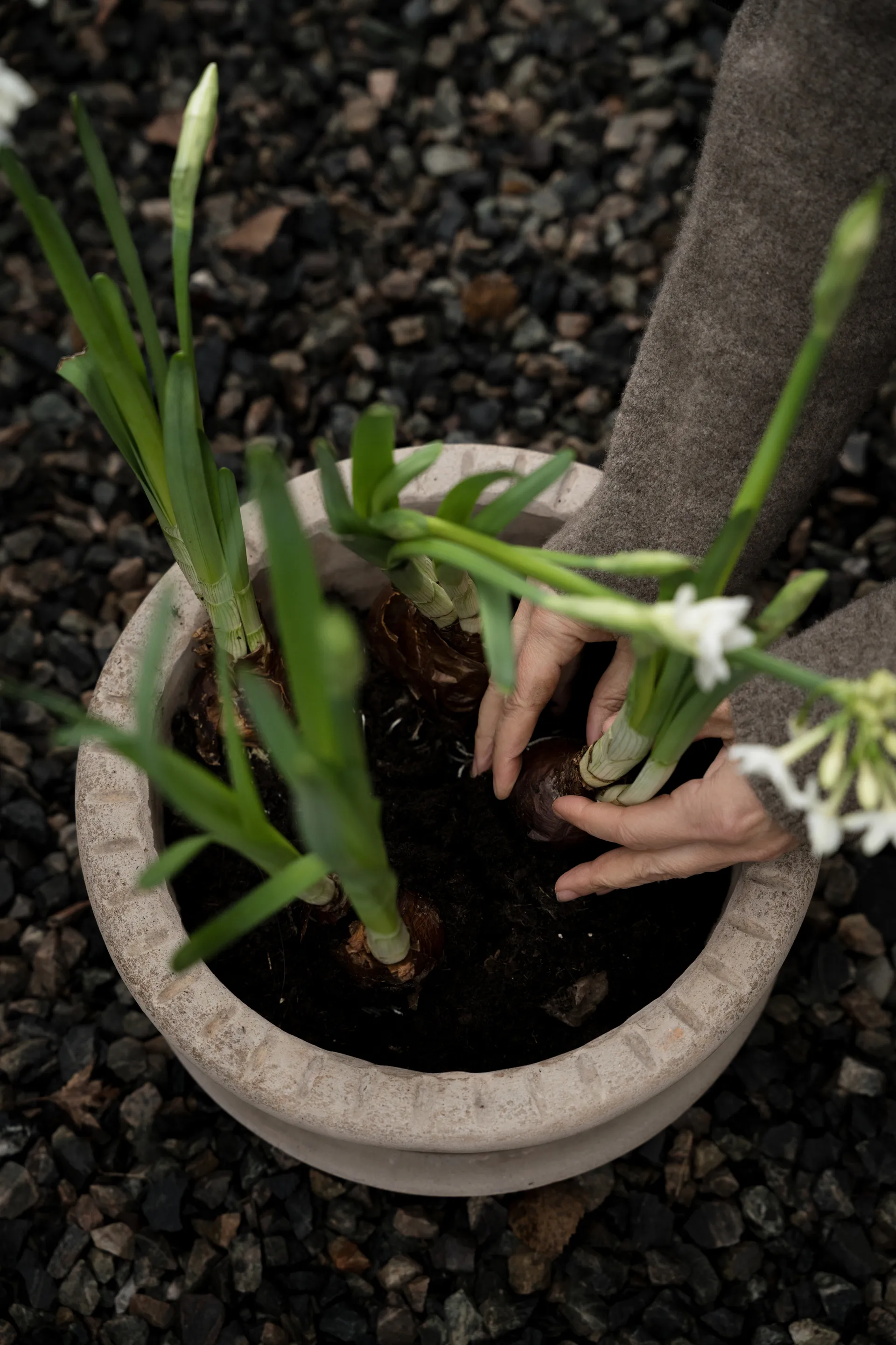 Vaso in terracotta Ernst con sottovaso, Ø33x12 cm ERNST