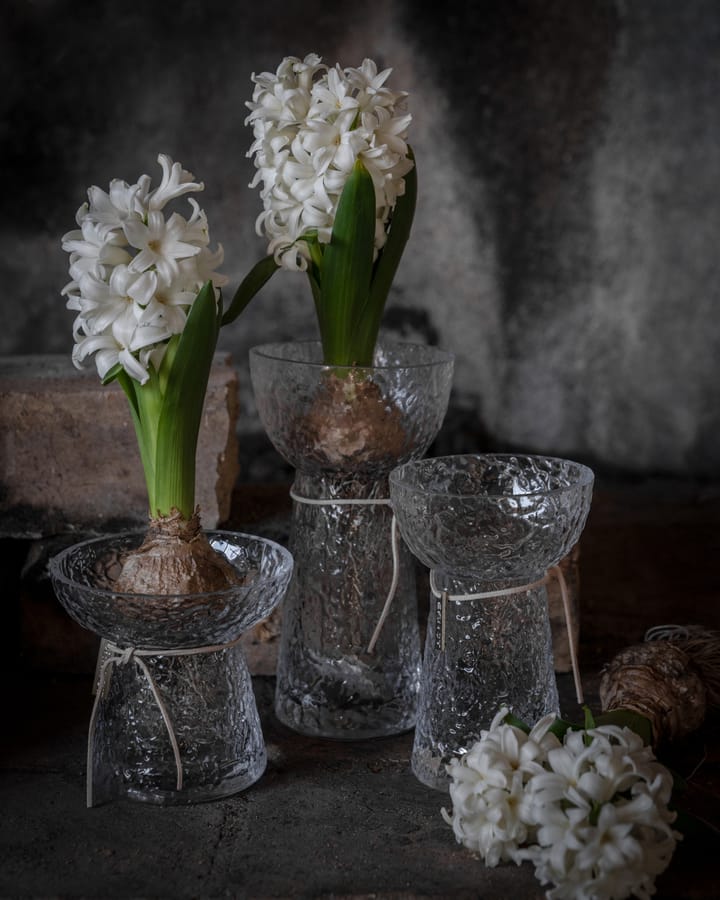 Vaso per bulbi decorato Ernst, 11 cm ERNST