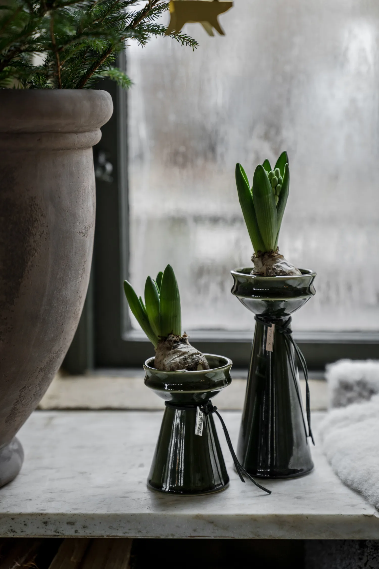 Vaso per bulbi Ernst 12 cm, Verde scuro ERNST