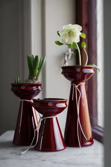Vaso per bulbi Ernst 20 cm - Rosso - ERNST
