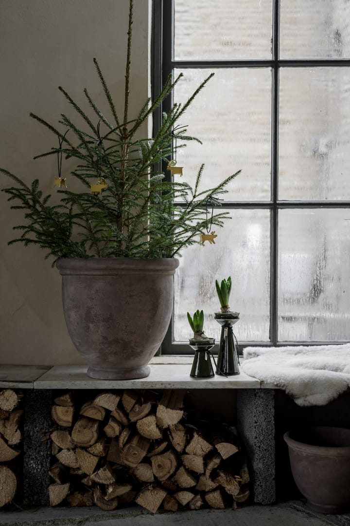 Vaso per bulbi Ernst 20 cm, Verde scuro ERNST