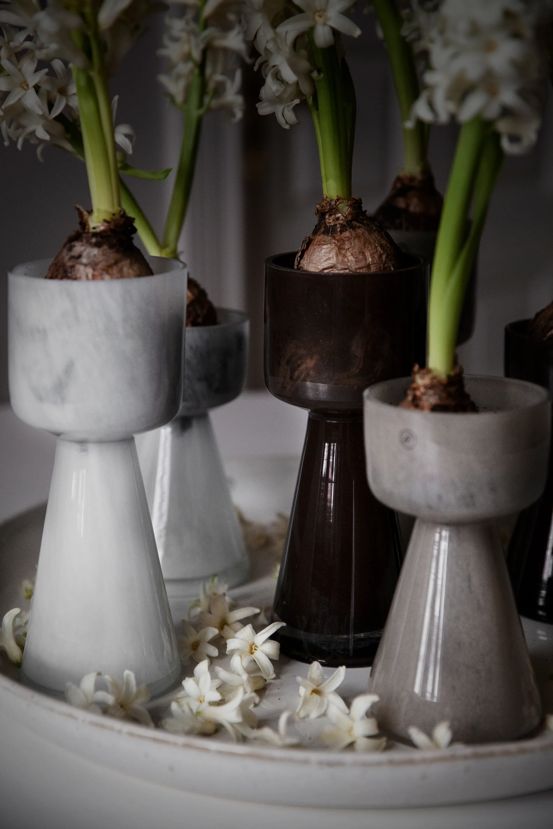 Vaso per bulbi Ernst in vetro 20 cm, Bianco ERNST