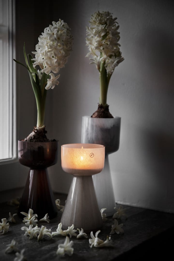Vaso per bulbi Ernst in vetro 20 cm, Bianco ERNST
