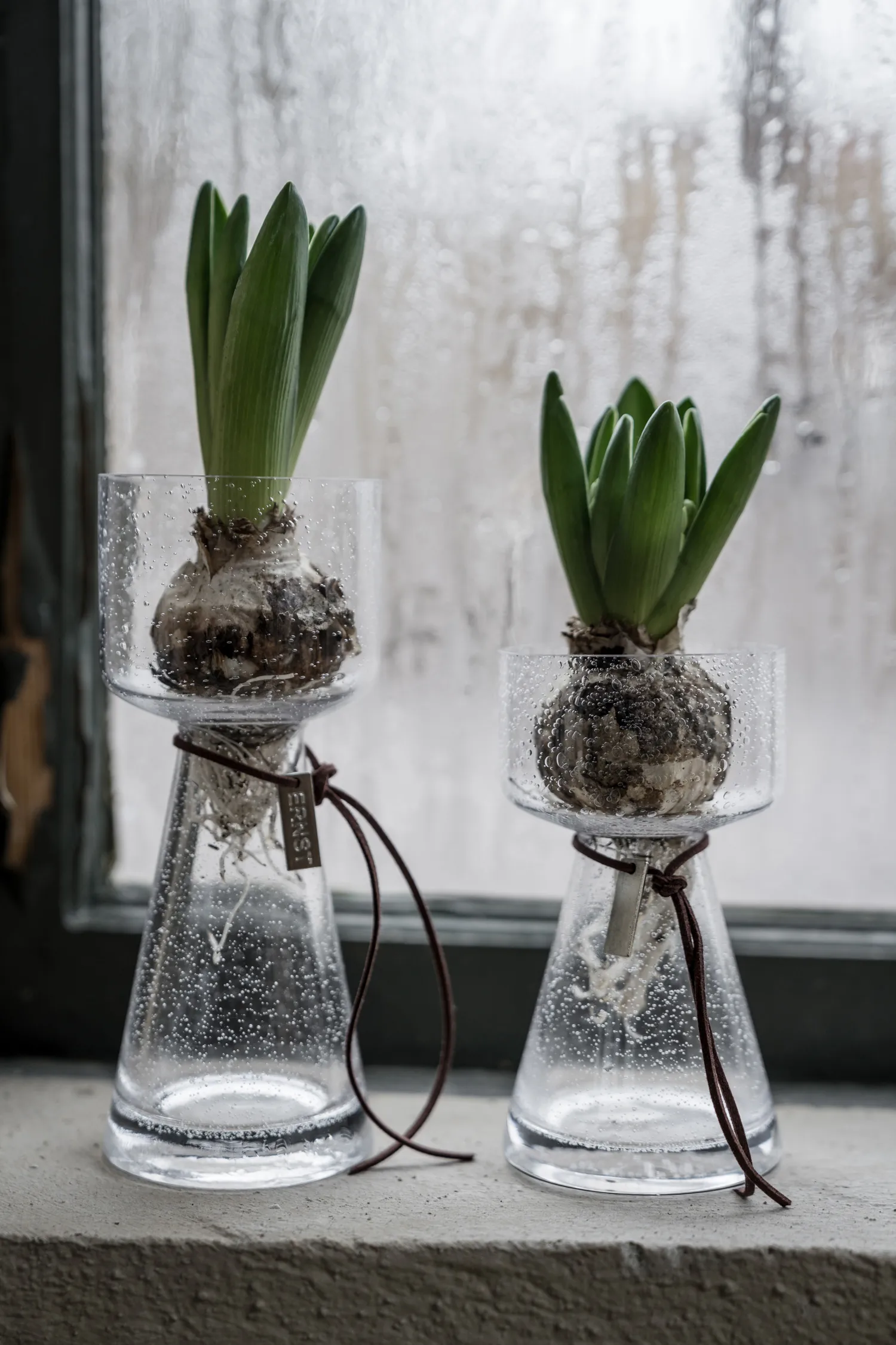 Vaso per bulbi Ernst in vetro con bolle, 20 cm ERNST